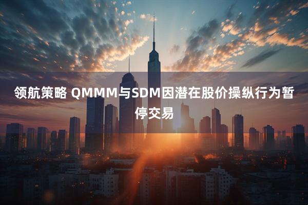 领航策略 QMMM与SDM因潜在股价操纵行为暂停交易
