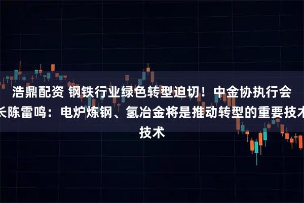 浩鼎配资 钢铁行业绿色转型迫切！中金协执行会长陈雷鸣：电炉炼钢、氢冶金将是推动转型的重要技术