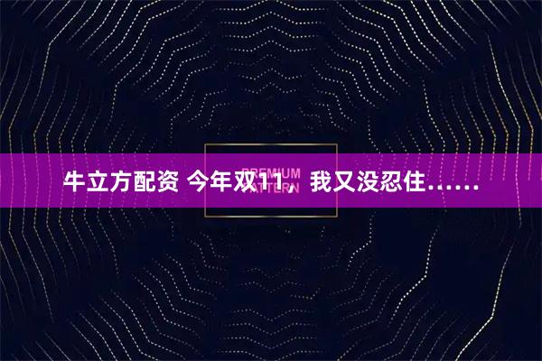 牛立方配资 今年双11，我又没忍住……