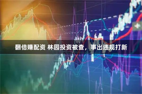 翻倍赚配资 林园投资被查，事出违规打新